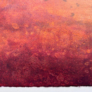 Saffron Embers by Lori Latham, Image 7.