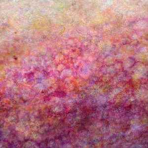 Easy Breezy by Lori Latham 