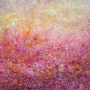 Easy Breezy by Lori Latham 