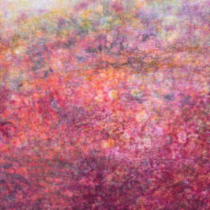 Easy Breezy by Lori Latham 