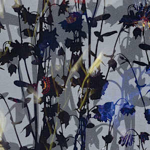 In the Looking Glass (Kaleidoscopic Florals 7) by J Myszka Lewis 