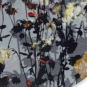 In the Looking Glass (Kaleidoscopic Florals 7) by J Myszka Lewis 
