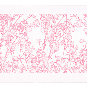 Lace study 1 (larkspur) by J Myszka Lewis