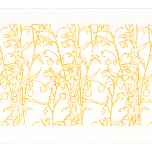 Lace study 2 (golden lantern lily) by J Myszka Lewis