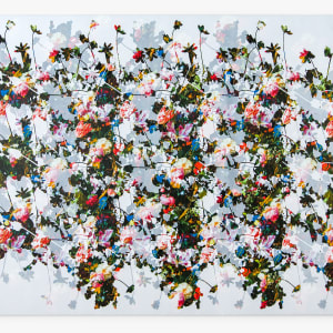 when faces called flowers float out of the ground by J Myszka Lewis
