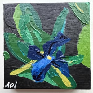 Blue Pansy sur Noire by Claire Necessary