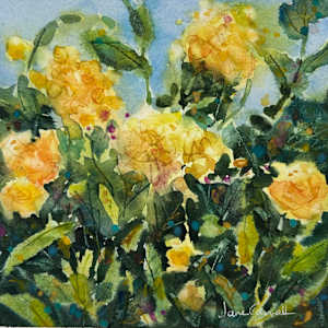 Summer Garden by Jane Carroll