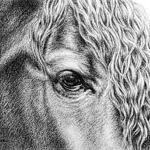 Gentle by Karen Franqui Elkan