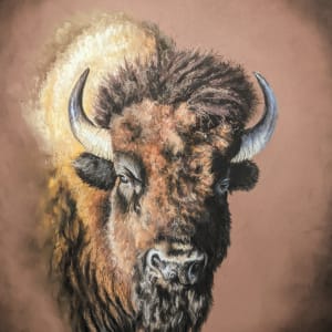 The Bison by Karen Franqui Elkan