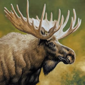 Moose by Karen Franqui Elkan