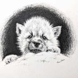 Wolf Pup by Karen Franqui Elkan