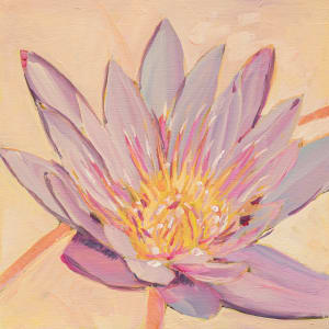 African Lotus by Kate Joiner