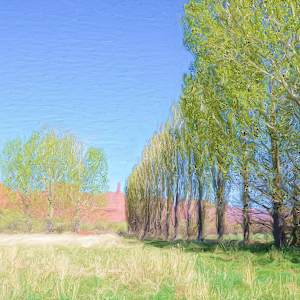 Castle Valley Study by Lewis Jackson