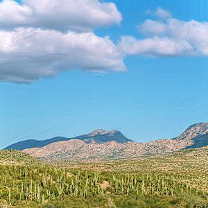 Catalina Mountains Vista by Lewis Jackson, Image 1.