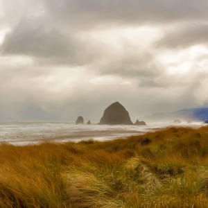 Coastal Oregon by Lewis Jackson