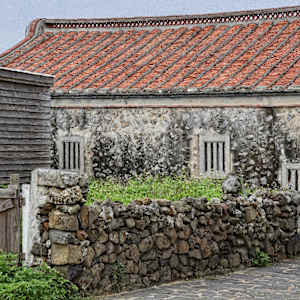 Coral Home by Lewis Jackson, Image 1.