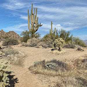 Dynamite Foothills Landscape by Lewis Jackson
