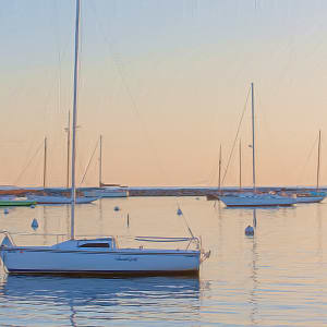 Early Morning Light by Lewis Jackson