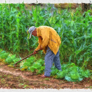 Farmer (Taiwan), Image 1.