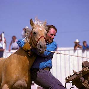 Grab that Horse! by Lewis Jackson