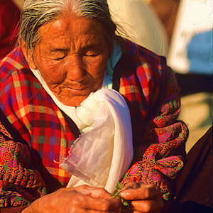 Woman Selling Herbs by Lewis Jackson