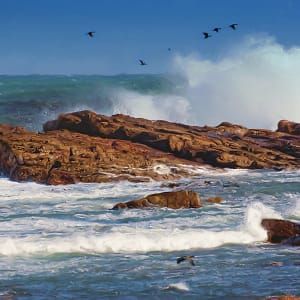 Pounding Surf by Lewis Jackson
