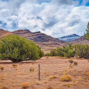 Spring Landscape by Lewis Jackson