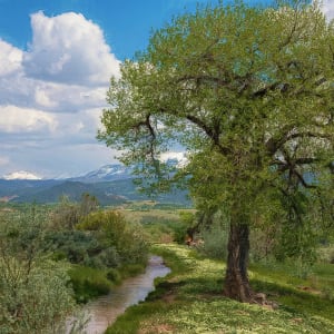 Summer Landscape, with Picnickers
