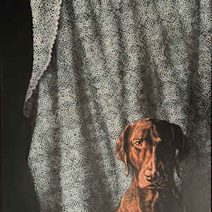 Delia's Blanket by Kim Harding, Image 1.