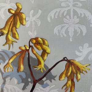Kangaroo Paw by Kim Harding 