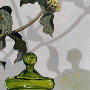 Still Life With Kiwi 