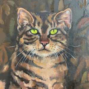 Camouflague Cat by Kim Harding 