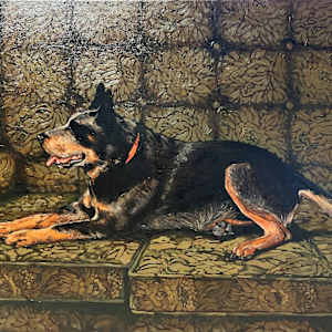 Freddy by Kim Harding