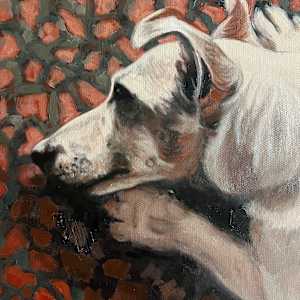 Jack Russell by Kim Harding 
