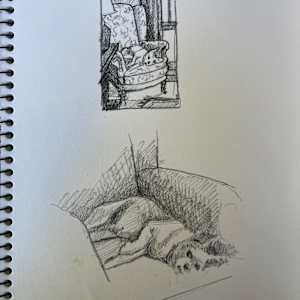 Ralph by Kim Harding, Image 3.