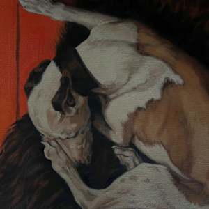 Shagpile by Kim Harding 