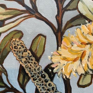 Yellow Banksia 