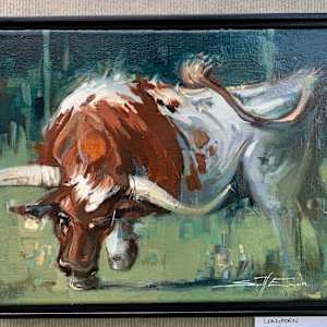 Phoenix Longhorn by scott ewen, Image 1.
