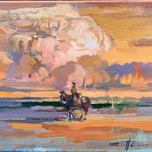 The Sonoran by scott ewen