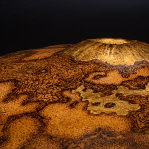 Earthpod VI - Resting Volcano by Serena Kovalosky 