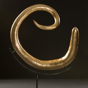 The Golden Spiral by Serena Kovalosky