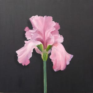 Pink Iris by Mona Turner, Image 1.
