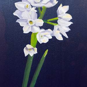 Paperwhite by Mona Turner, Image 1.