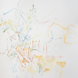 23 June, 2025 by Michael Rich