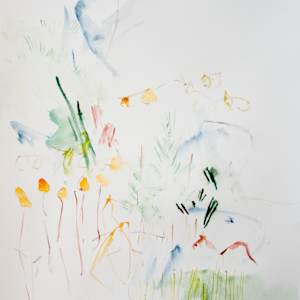 24 June, 2025 by Michael Rich