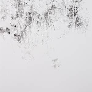 Edge of the Woods by Michael Rich, Image 2.