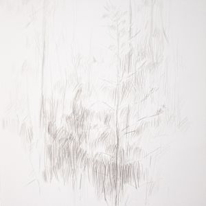 Edge of the Woods by Michael Rich