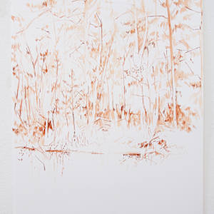 Fallen Tree by Michael Rich, Image 2.