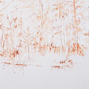 Fallen Tree by Michael Rich, Image 3.