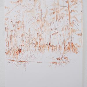 Fallen Tree by Michael Rich, Image 1.